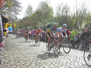 Flandern-Rundfahrt 2735